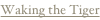 shapeimage_2_link_2